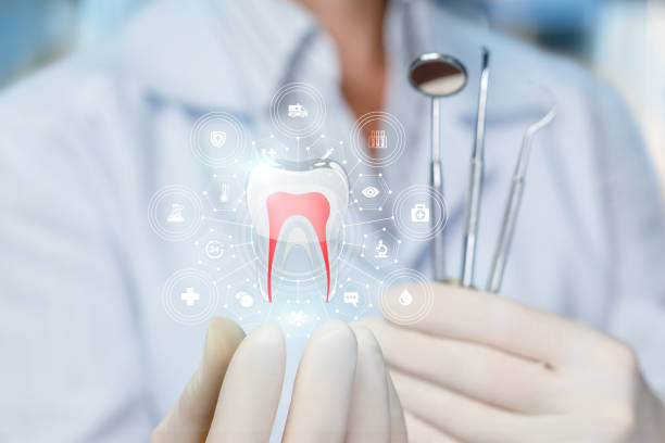 Best Root Canal Treatment  in Lower Grand Lagoon, FL